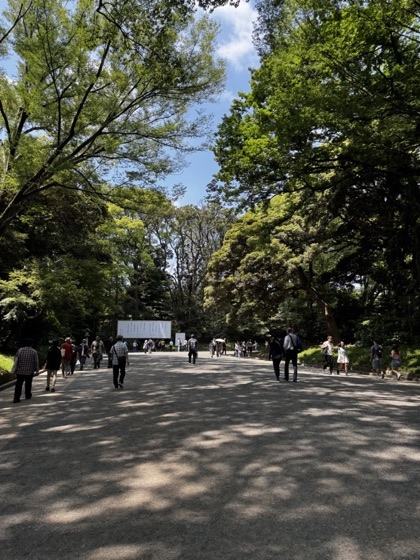 The tree-lined approach